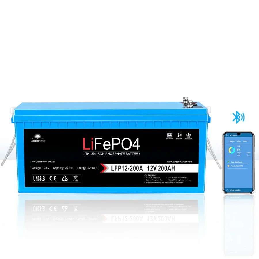 SunGoldPower 2000W DC 12V Pure Sine Wave Inverter With Charger
