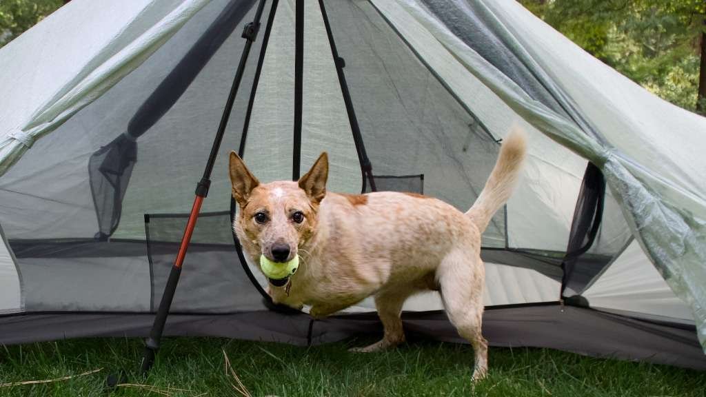 TARPTENT Dipole 1 Li