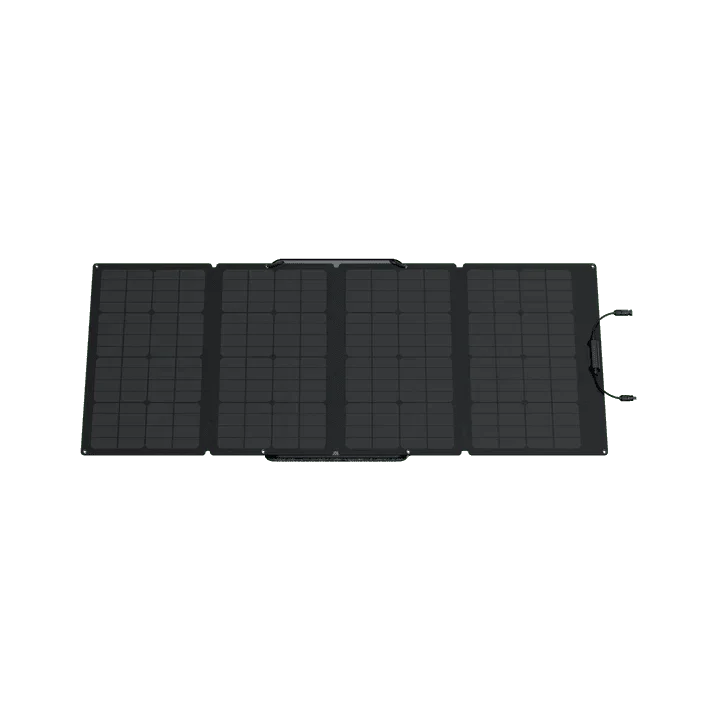 EcoFlow DELTA 2 Max + 160W Portable Solar Panel