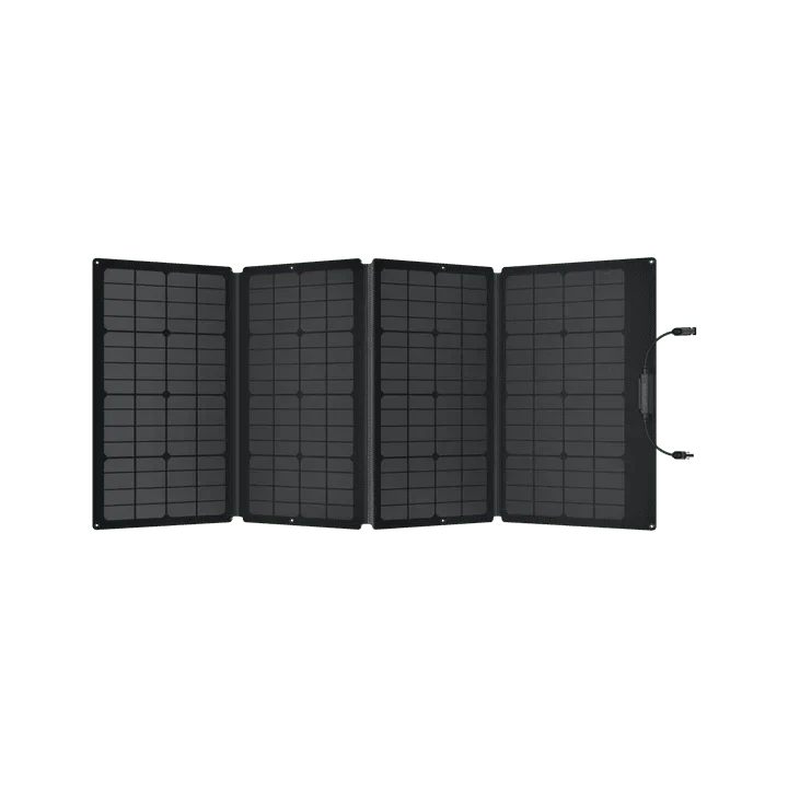 EcoFlow DELTA 2 Max + 160W Portable Solar Panel