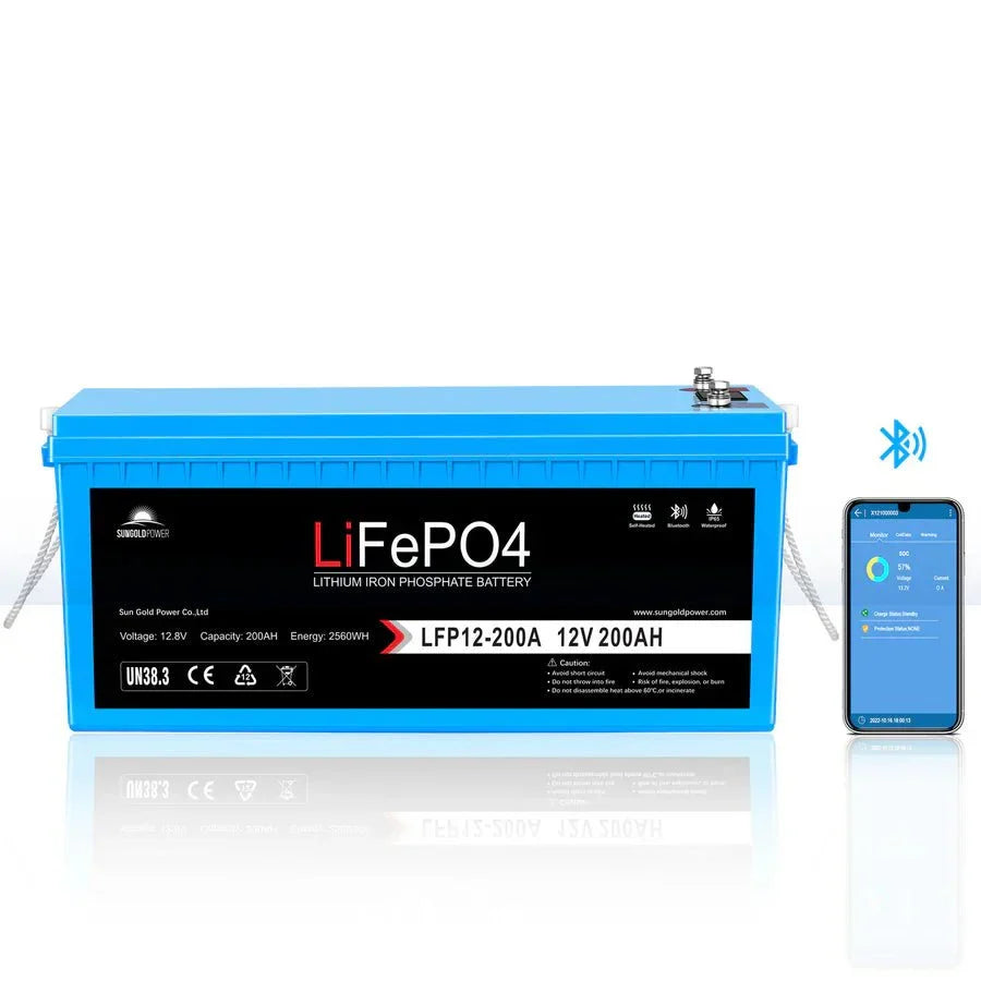 SunGoldPower 3000W DC 12V Pure Sine Wave Inverter With Charger