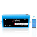 SunGoldPower 3000W DC 12V Pure Sine Wave Inverter With Charger